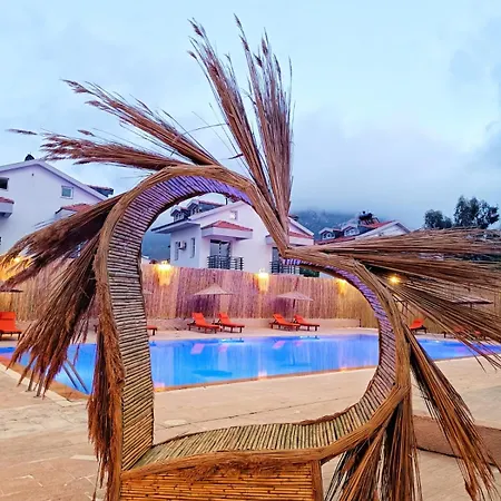 Sureyya By Kalipso * Ölüdeniz