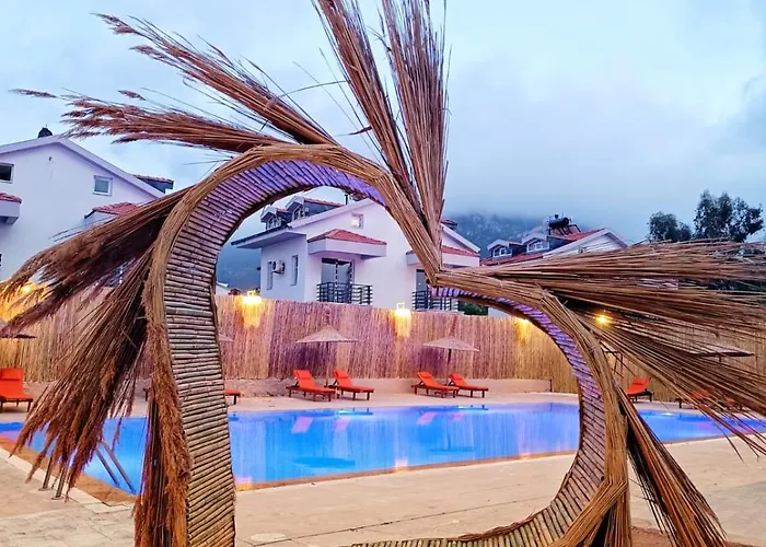 Sureyya By Kalipso * 올루데니스