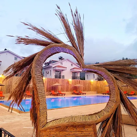 Sureyya By Kalipso * Ολουντενίζ