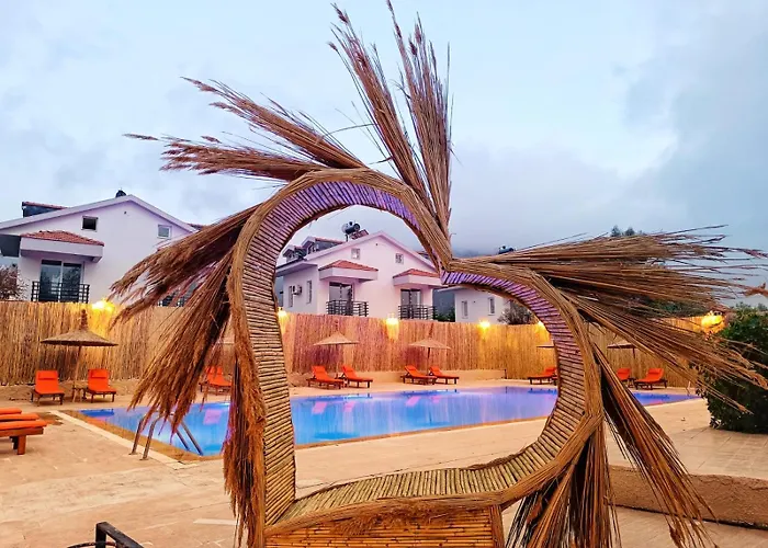 Sureyya By Kalipso * Олудениз